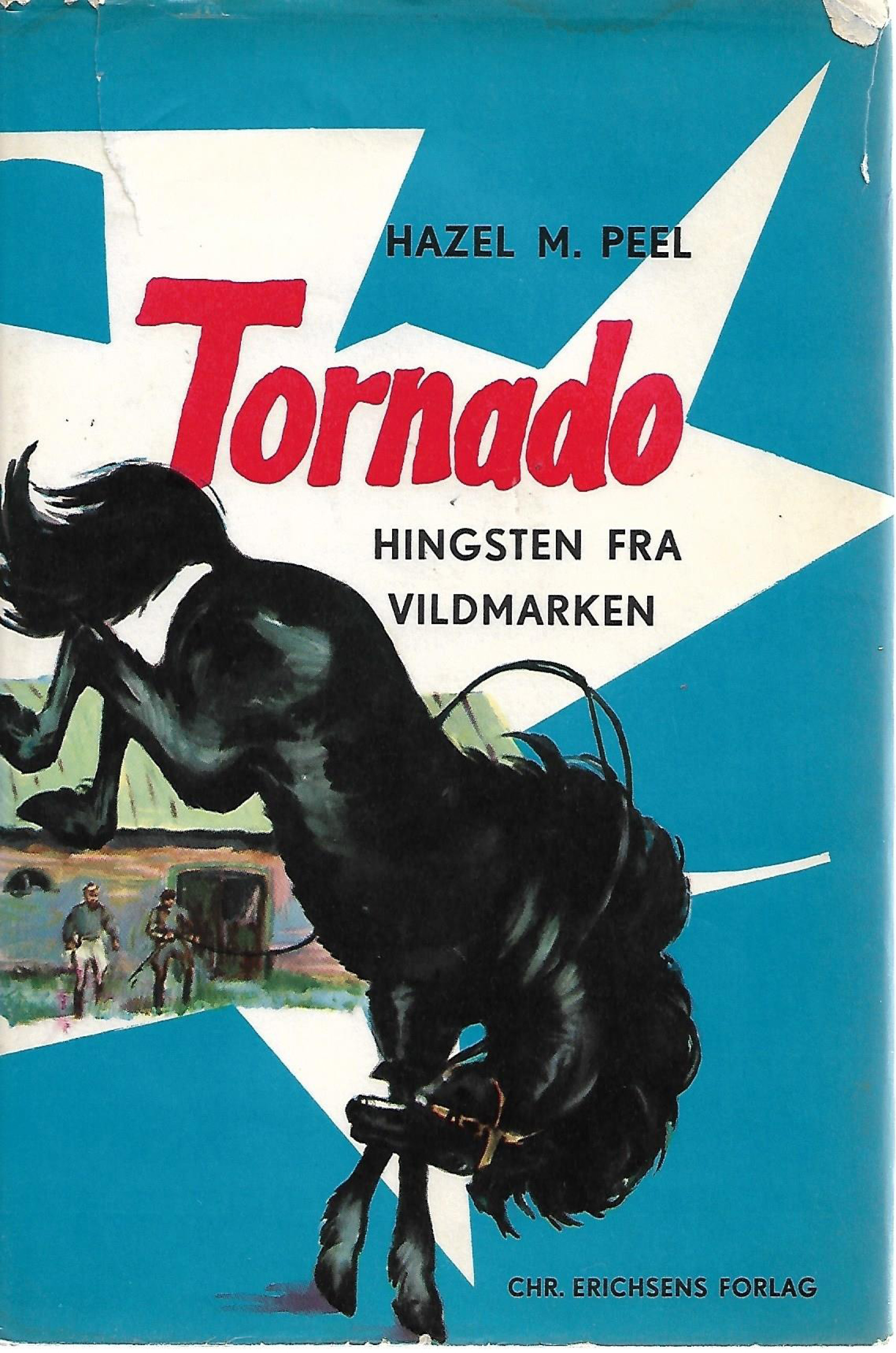 Tornado - hingsten fra vildmarken - Hazel M Peel-1